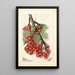 Reproduction of the painting Ribes Perfection - Deborah Griscom Passmore