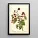 Reproduction of the painting Rubus Cardinal - Deborah Griscom Passmore