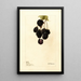 Rubus Lawton - Deborah Griscom Passmore — framed artwork on a wall