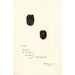 Rubus Lucretia - Deborah Griscom Passmore — artwork view