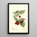 Reproduction of the painting Rubus Miller - Deborah Griscom Passmore