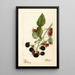 Rubus Récompense - Deborah Griscom Passmore — framed artwork on a wall