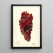 Vitis Bauch - Deborah Griscom Passmore — framed artwork on a wall
