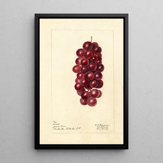 Reproduction of the painting Vitis Jacob Moore - Deborah Griscom Passmore