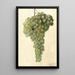 Vitis Malaga - Deborah Griscom Passmore — framed artwork on a wall