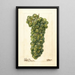 Vitis Sauvignon Vert - Deborah Griscom Passmore — framed artwork on a wall