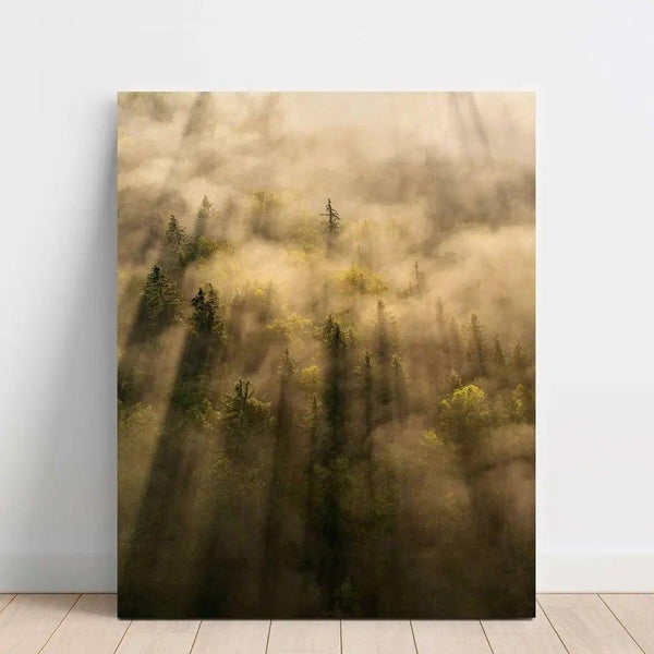 Nature Photo Decoration - The Enchanted Forest