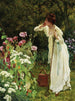 In the fullness of summer - Delapoer Downing — artwork view