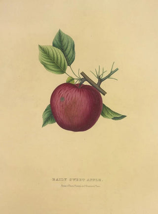 Apple sweet Baily - Dellon Marcus Dewey — artwork view