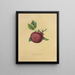 Apple sweet Baily - Dellon Marcus Dewey — framed artwork on a wall
