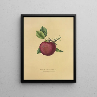 Apple sweet Baily - Dellon Marcus Dewey — framed artwork on a wall