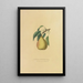Reproduction of the painting Pear Beurré Superfin - Dellon Marcus Dewey
