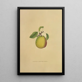 Reproduction of the painting Easter Butter Pear Painting - Dellon Marcus Dewey