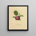 Astrakhan rouge - Dellon Marcus Dewey — framed artwork on a wall