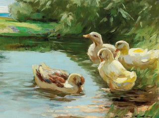 Ducks in the Water - Demeter Koko — artwork view