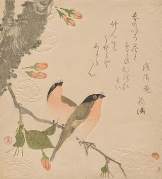 Deux Chardonnerets sur un Cerisier à Double Pétale Uso ni Yaezakura - Kubo Shunman