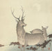 Two Deer - Ohara Koson — artwork view