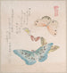 various mites and butterflies - Kubo Shunman — artwork view
