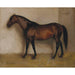 Reproduction of the painting Dollar, a bay hunter in a box - Jean-Léon Gérôme