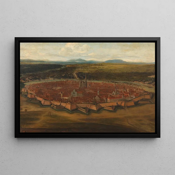 View of the city of Vienna from Josefstadt - Domenico Cetto — framed artwork on a wall