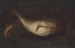 Still life with two fish - Domenico Grosso — artwork view