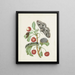 Metamorphosis of a Small Emperor Butterfly - Dorothea Maria Gsell — framed artwork on a wall