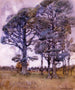 Black Birch Tree Painting - Dorothy Richmond — artwork view