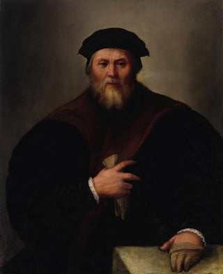 Portrait of a gentleman - Dosso Dossi — artwork view