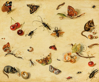 Flora and Fauna - Dutch School — artwork view