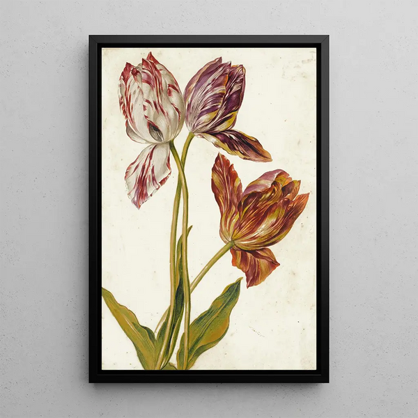 Reproduction of the painting Tulips Painting - Dutch School