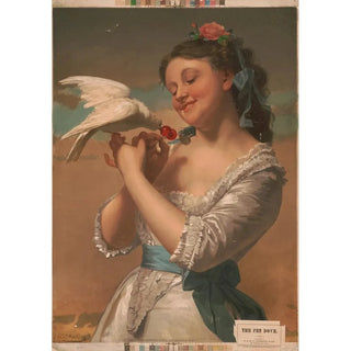 Reproduction of the painting The Tamed Dove - E. & H. T. Anthony & Co.