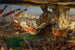 Stradivarius in his Workshop - Edgar Bundy — artwork view