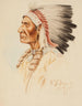 Portrait Indian - Edgar Samuel Paxson — artwork view
