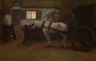 Edgard Farasyn - The Village Doctor.webp