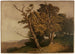 Oaks - Edmund Kanoldt — artwork view