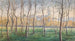 a small birch forest with a view of the Klosterneuburg monastery - Eduard Ferdinand Höfecker — artwork view