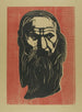 Head of an Old Bearded Man - Edvard Munch — artwork view