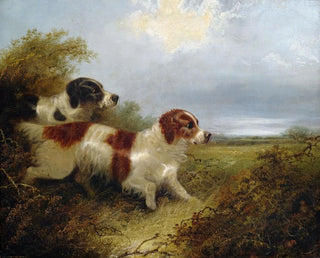 Two Terriers - Edward Armfield — artwork view