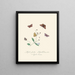 A summary of the natural history of insects from New Holland New Zealand Pl30 - Edward Donovan — framed artwork on a wall
