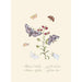 Summary of the natural history of insects from New Holland and New Zealand Pl34 - Edward Donovan — artwork view