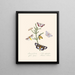 A summary of the natural history of insects from New Holland New Zealand Pl35 - Edward Donovan — framed artwork on a wall