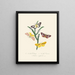 A summary of the natural history of insects from New Holland New Zealand Pl38 - Edward Donovan — framed artwork on a wall