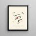 A summary of the natural history of insects from New Holland New Zealand Pl39 - Edward Donovan — framed artwork on a wall
