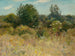 Notre jardin arrière quand j'étais jeune - Edward Emerson Simmons — artwork view