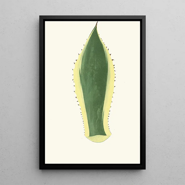 Agave americana - Edward Joseph Lowe — framed artwork on a wall