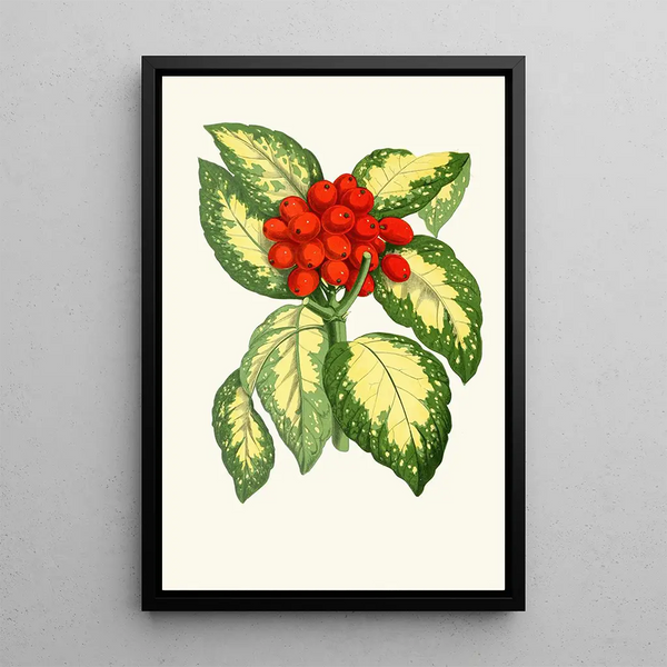 Aucuba japonica - Edward Joseph Lowe — framed artwork on a wall