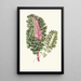 Reproduction of the painting Les plantes feuillues - Edward Joseph Lowe