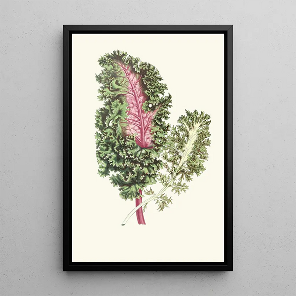 Reproduction of the painting Les plantes feuillues - Edward Joseph Lowe