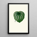 Peperomia Argyrea - Edward Joseph Lowe — framed artwork on a wall