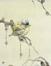 The Blue Tit - Edward Julius Detmold — artwork view